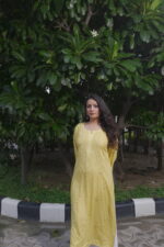 Modal Chikankari kurti - Navasi Chickankari Store